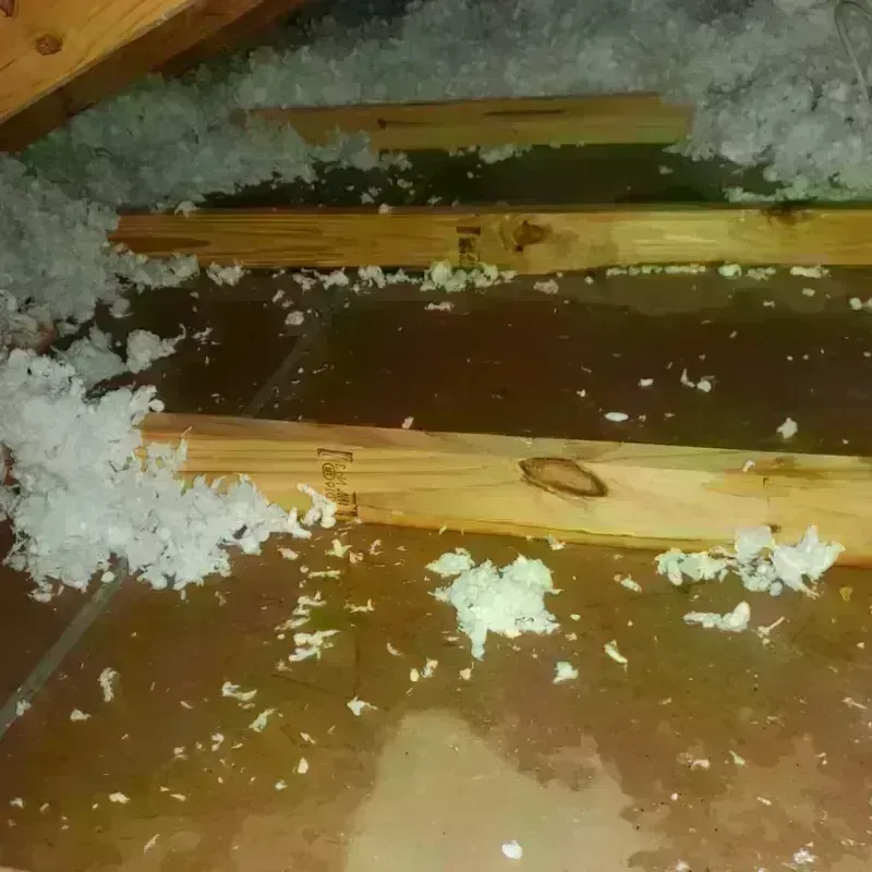 Attic Water Damage in Pleasant View, UT